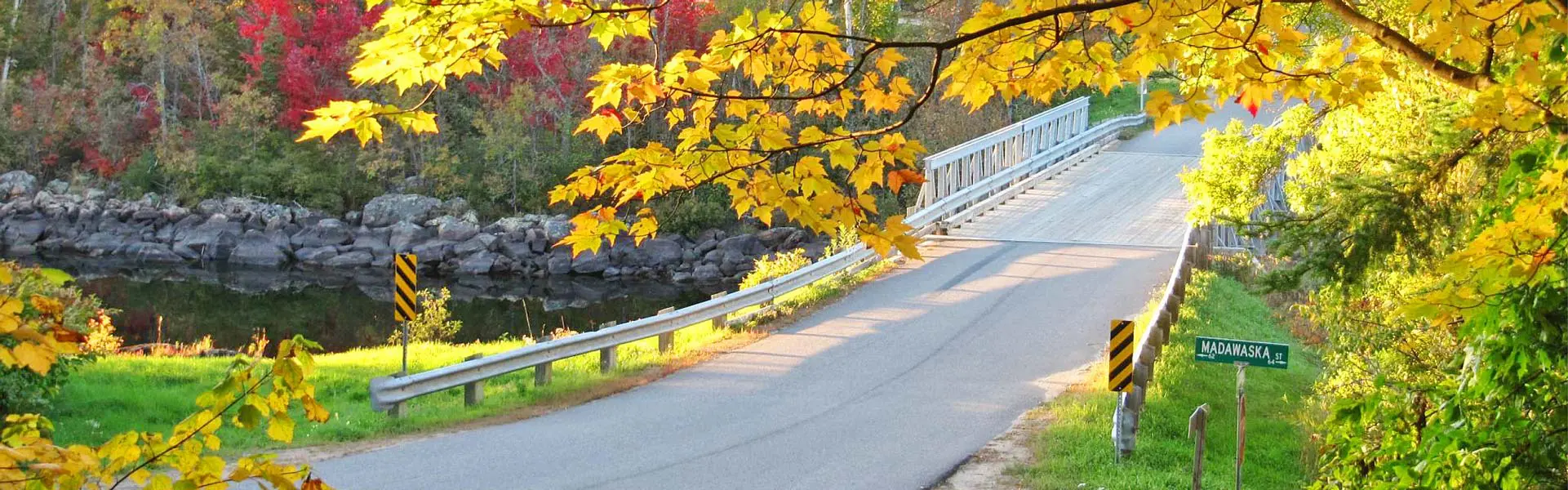 Bright autumn colours over a roadway in Whitney