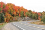 Bright orange and red fall colours along a highway in the Township of South Algonquin