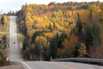 Golden fall colours along Highway 60 in the Township of South Algonquin, photo by Jess McComb