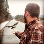 Grayjay landing on a man's hand, Township of South Algonquin, photo by Jess McComb
