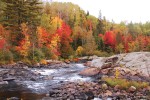 Rapids and fall colours in the Township of South Algonquin, photo by Jess McComb