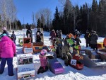 Kids and homemade sleds lining up for the toboggan race at the Festival of Outdoor Rinks, Whitney
